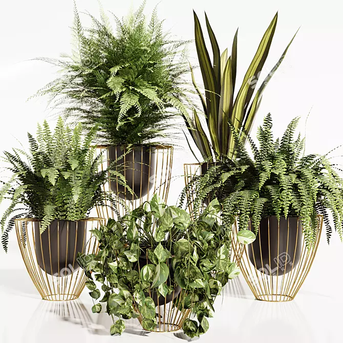 Green Oasis Plant Trio 3D model image 1