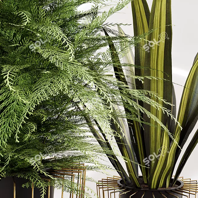 Green Oasis Plant Trio 3D model image 3