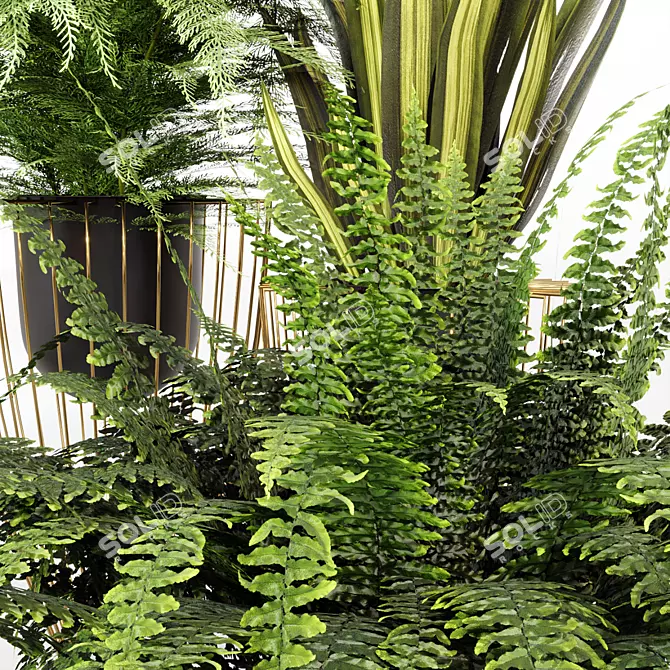 Green Oasis Plant Trio 3D model image 4