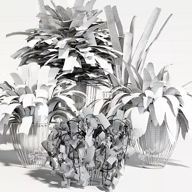 Green Oasis Plant Trio 3D model image 5