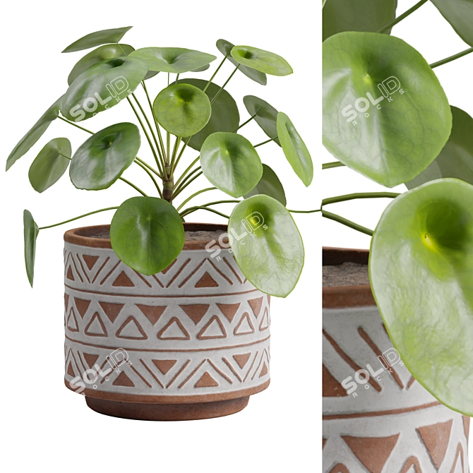 Chinese Money Plant 3D Model 3D model image 2