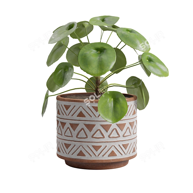 Chinese Money Plant 3D Model 3D model image 4