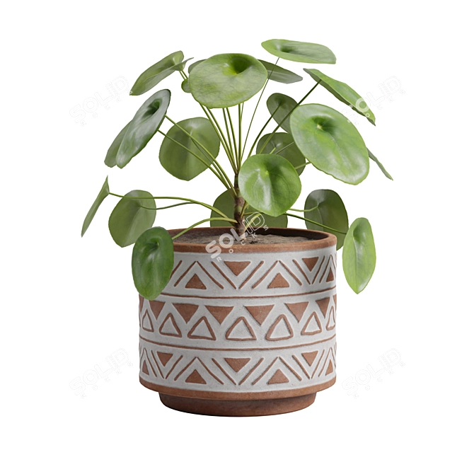 Chinese Money Plant 3D Model 3D model image 5