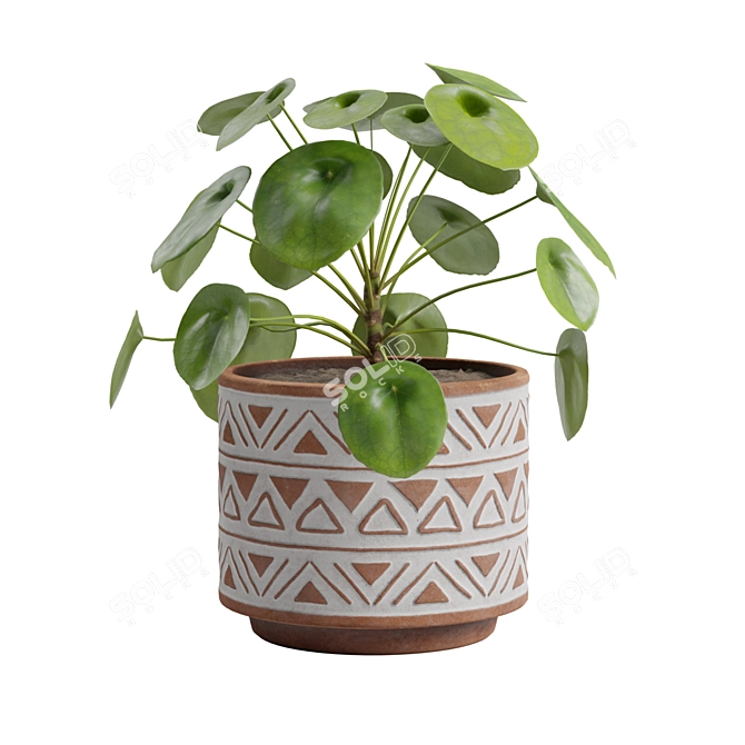 Chinese Money Plant 3D Model 3D model image 6