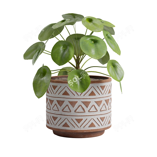 Chinese Money Plant 3D Model 3D model image 7
