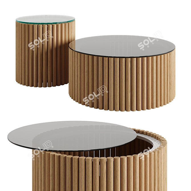 Modern Elegant Coffee Tables Set 3D model image 1
