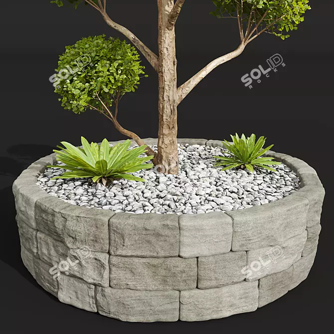 Nerve Plant 3D Model Pruned 3D model image 2