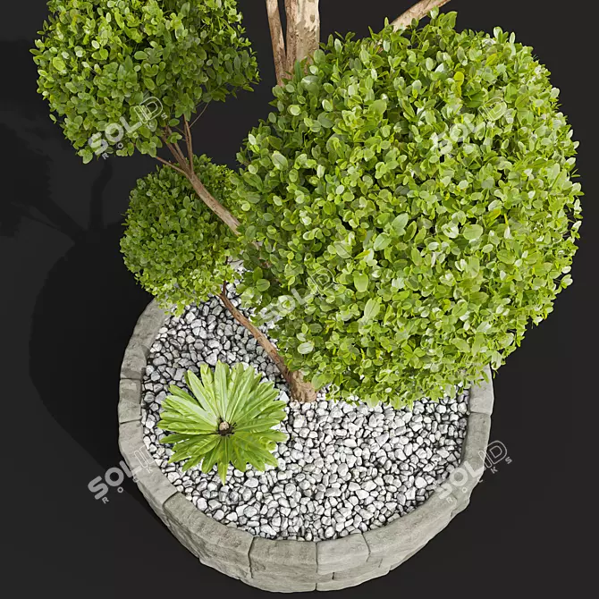 Nerve Plant 3D Model Pruned 3D model image 3