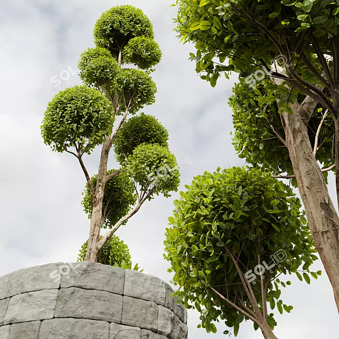 Nerve Plant 3D Model Pruned 3D model image 4