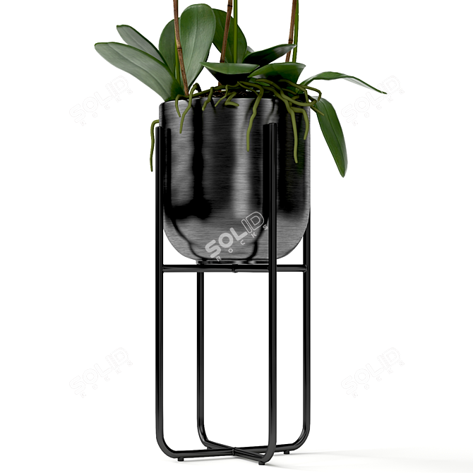 Orchid in Pot | V-Ray-Compatible 3D model image 4