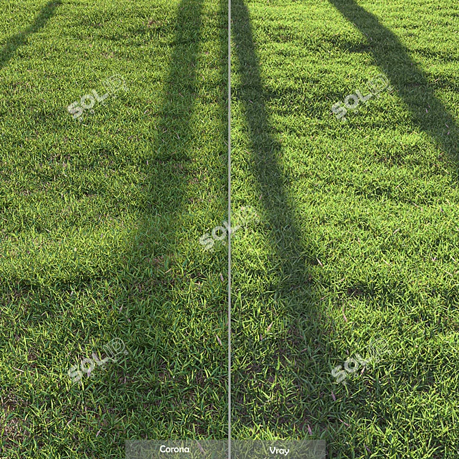 High-Quality Bermuda Grass Render Kit 3D model image 2