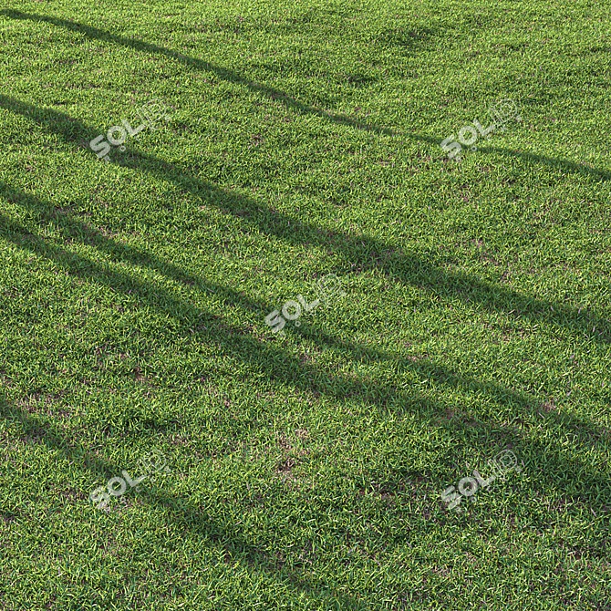 High-Quality Bermuda Grass Render Kit 3D model image 3