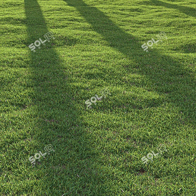 High-Quality Bermuda Grass Render Kit 3D model image 4