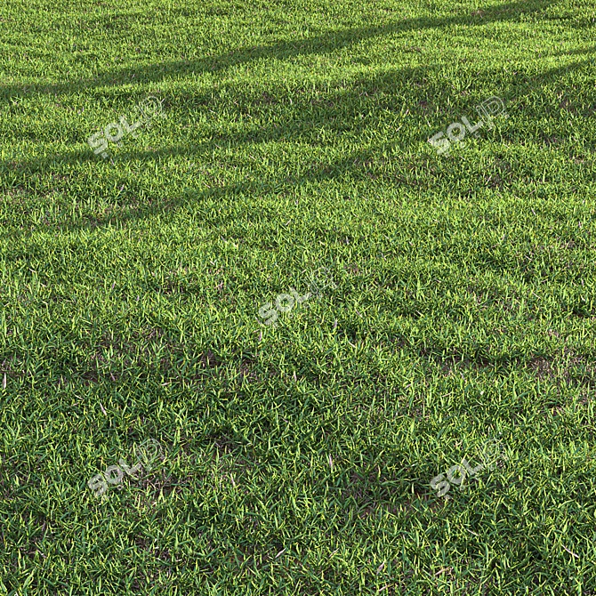 High-Quality Bermuda Grass Render Kit 3D model image 6