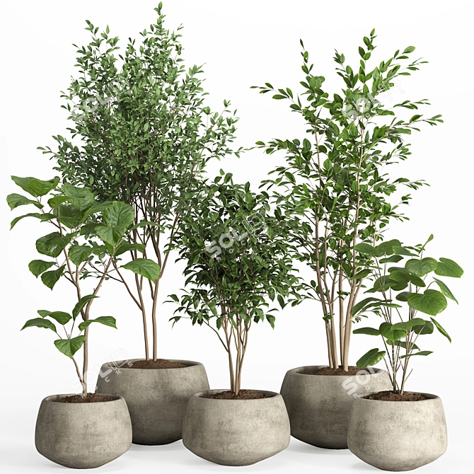 Modern Concrete Pot Indoor Plants 3D model image 1