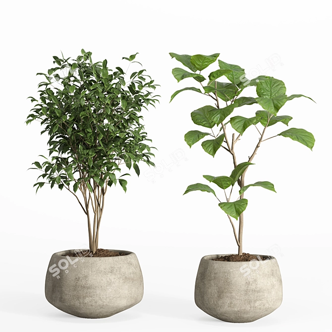 Modern Concrete Pot Indoor Plants 3D model image 3