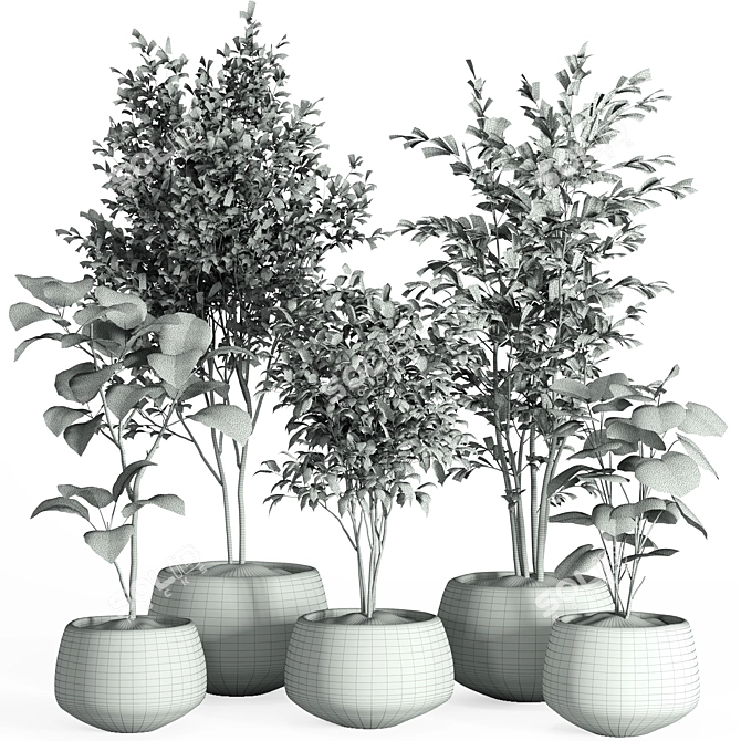 Modern Concrete Pot Indoor Plants 3D model image 4