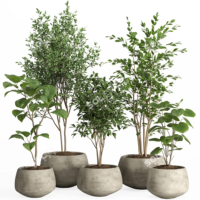 Modern Concrete Pot Indoor Plants 3D model image 5