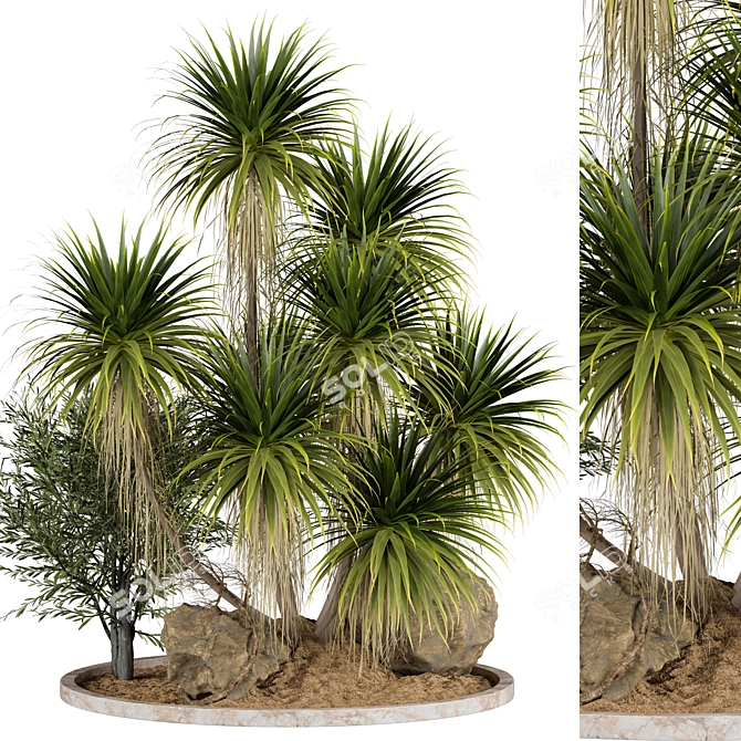  Outdoor Plant 59 3D Model 3D model image 1