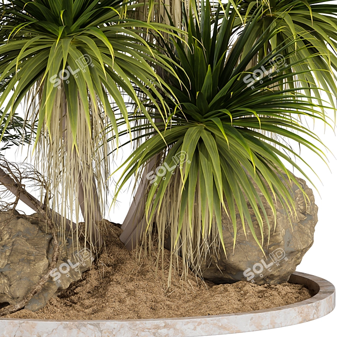  Outdoor Plant 59 3D Model 3D model image 2