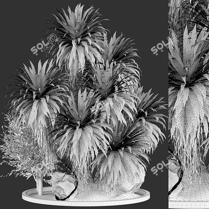  Outdoor Plant 59 3D Model 3D model image 4