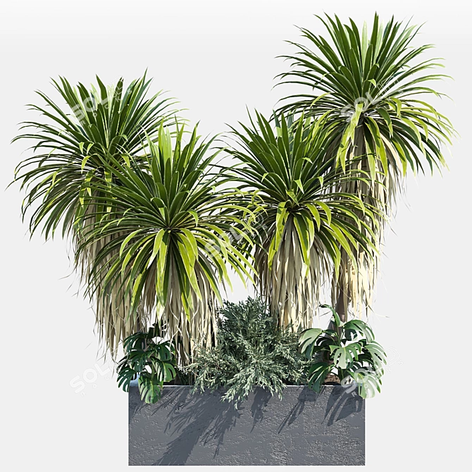 Outdoor Plant 60 3D Model 3D model image 1