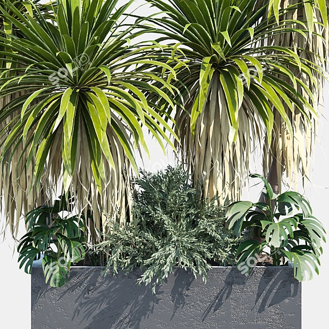 Outdoor Plant 60 3D Model 3D model image 2