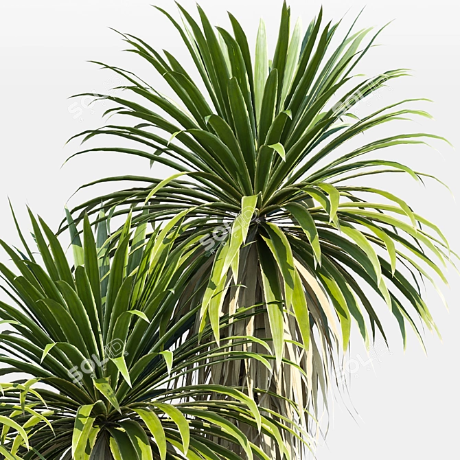 Outdoor Plant 60 3D Model 3D model image 3