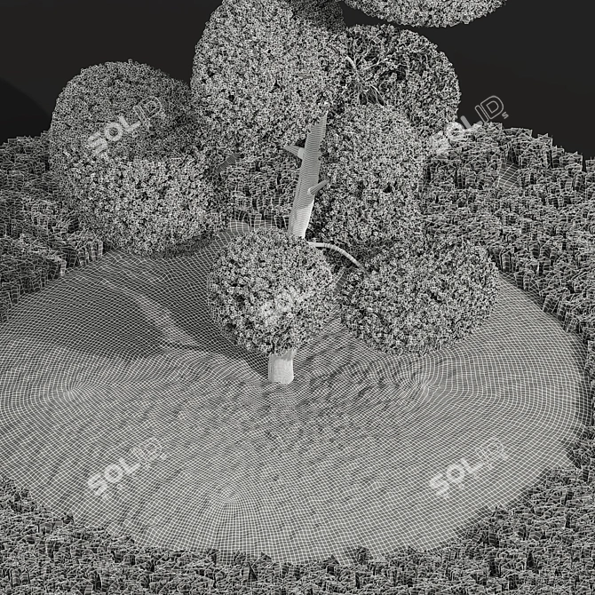 Nerve Plant Ficus Variety Green 3D model image 5