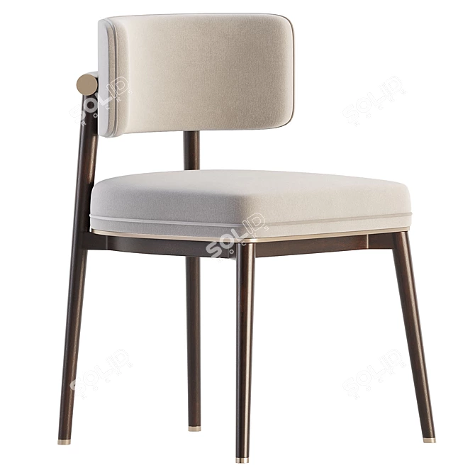 Modern Frank Dining Chair Design 3D model image 2