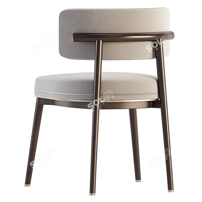 Modern Frank Dining Chair Design 3D model image 4