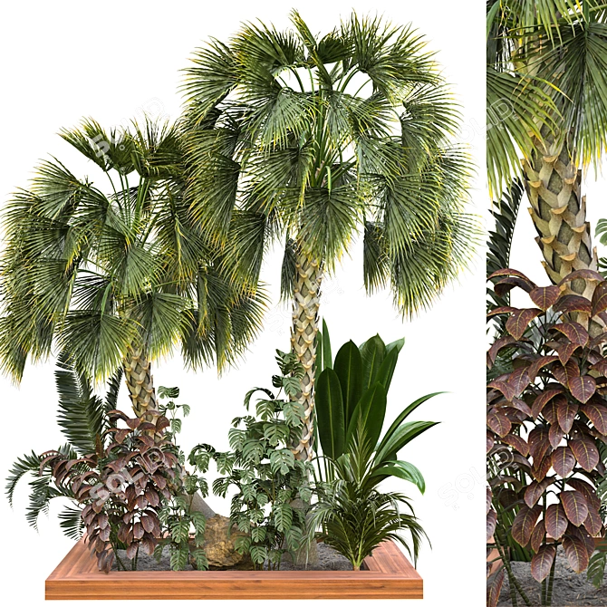 Exclusive Outdoor Plant 61 Decor 3D model image 1