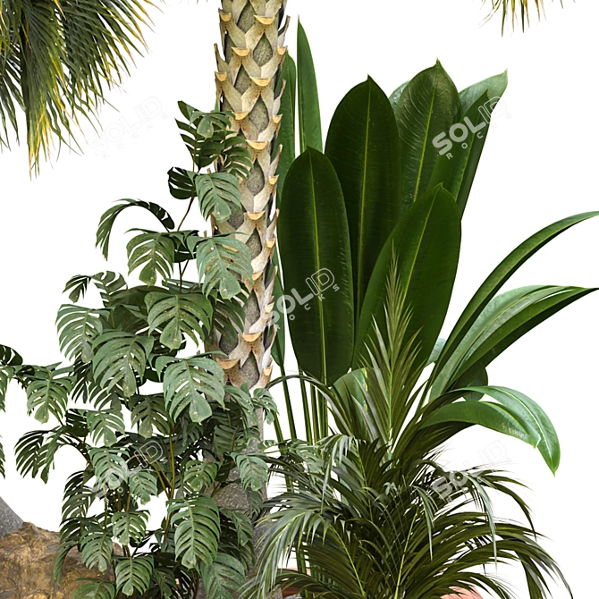 Exclusive Outdoor Plant 61 Decor 3D model image 3