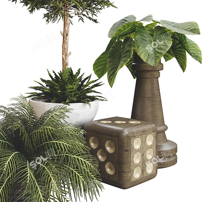 Tropical Outdoor Plant Collection 3D model image 3