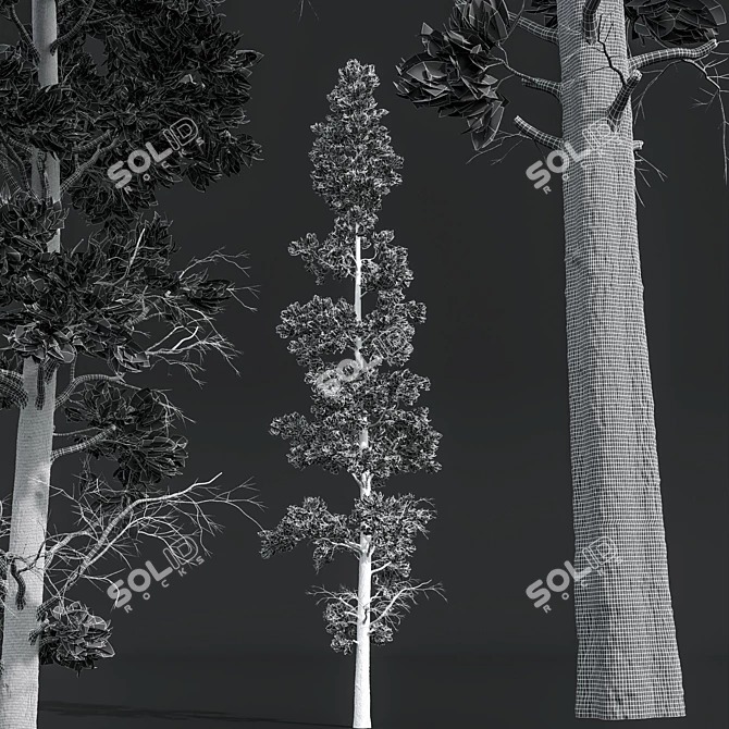 Exotic Fern and Pine Trees 3D model image 7