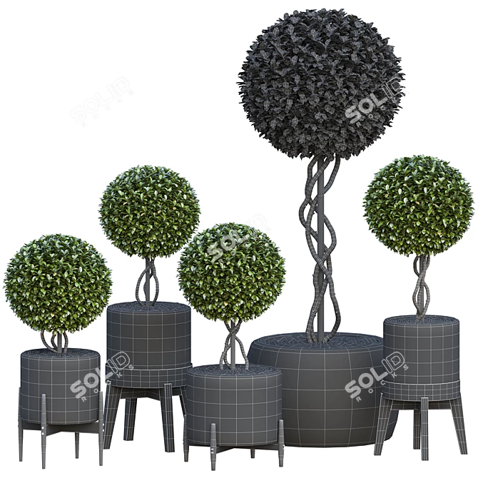 Precision Outdoor Shrub Plants Set 3D model image 5