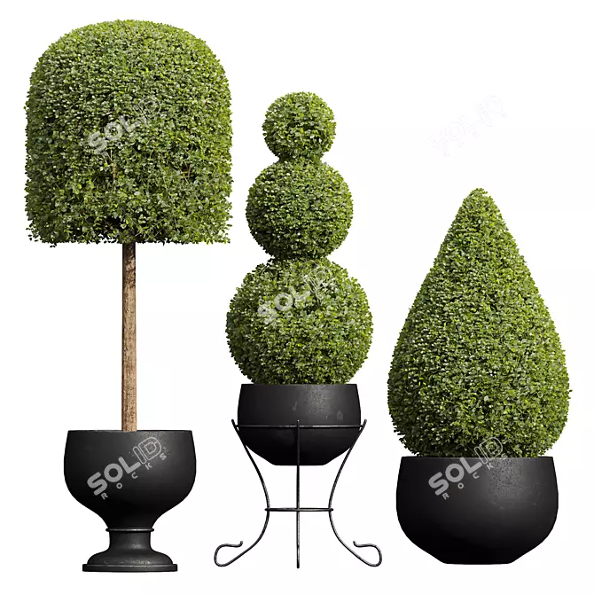 Nerve Plant 3D Model Set 3D model image 1