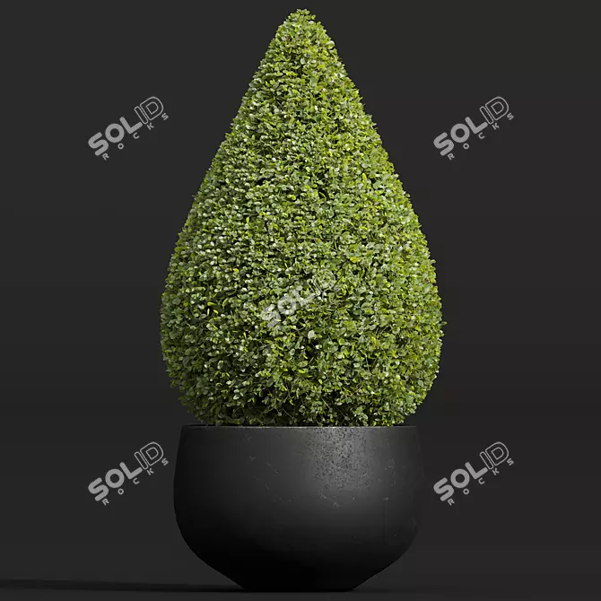 Nerve Plant 3D Model Set 3D model image 2