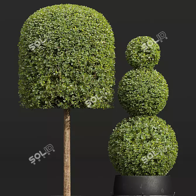 Nerve Plant 3D Model Set 3D model image 3