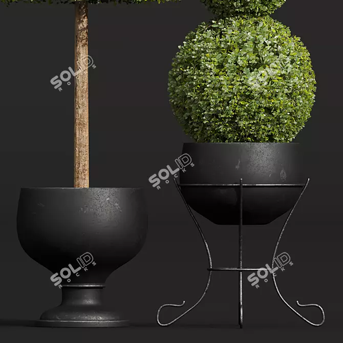 Nerve Plant 3D Model Set 3D model image 4