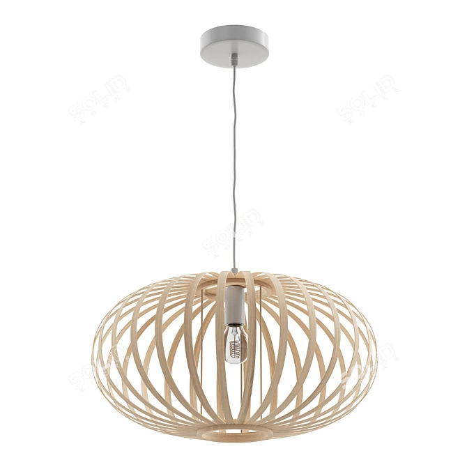 Bamboo Boho Pendant Lamp Light 3D model image 1