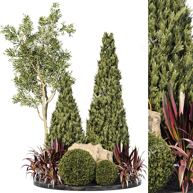 Outdoor Plant 63 3D Model 3D model image 1