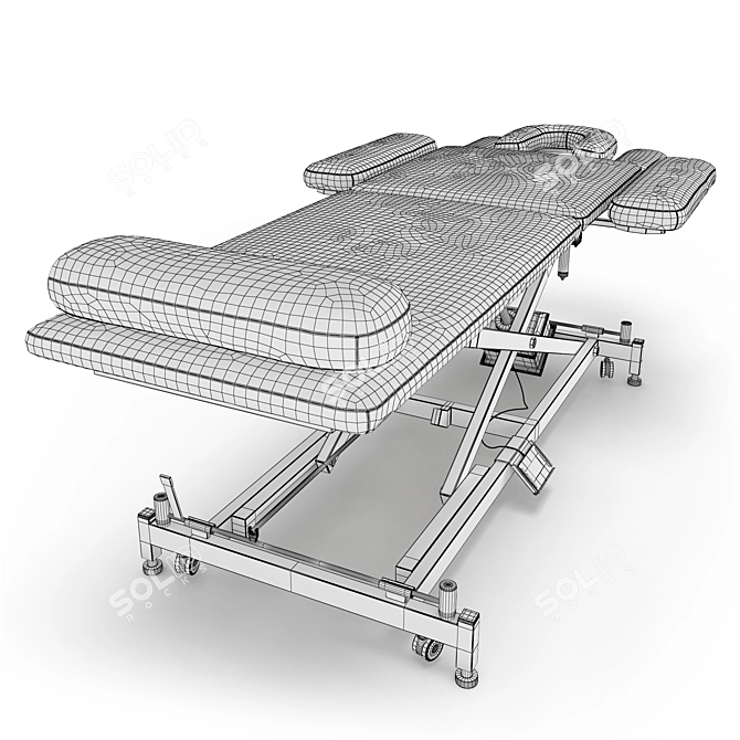 Professional Electric Massage Table 3D model image 13