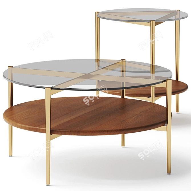 Mid-Century Art Display Coffee Table 3D model image 1