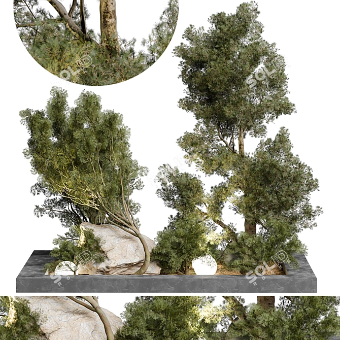 65 Outdoor Plant 3D Model 3D model image 1