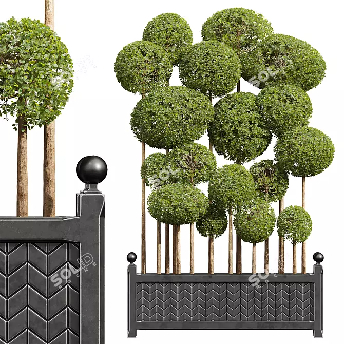 Nerve Plant 3D Model Bundle 3D model image 1