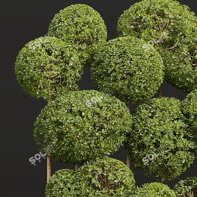 Nerve Plant 3D Model Bundle 3D model image 4