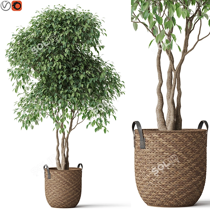 Vibrant Botanical Multipack 782 3D model image 1