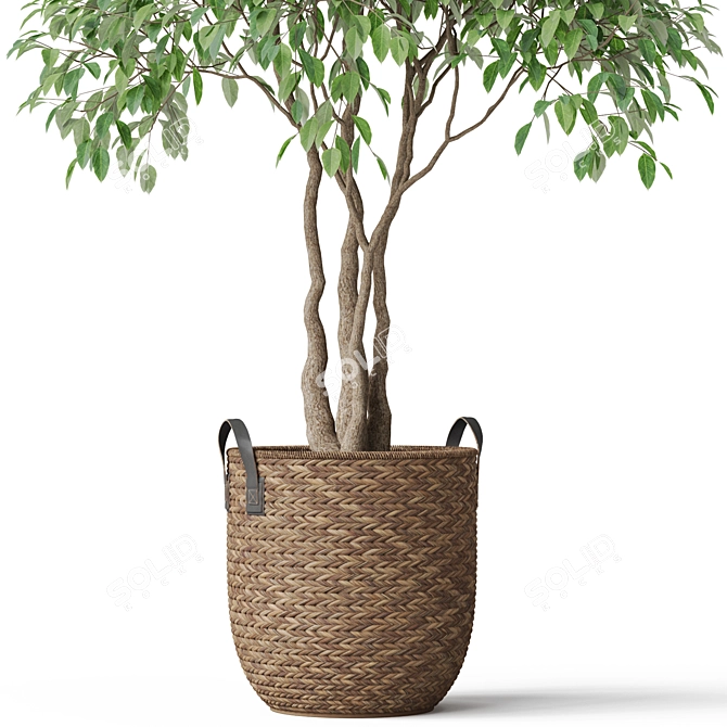 Vibrant Botanical Multipack 782 3D model image 2