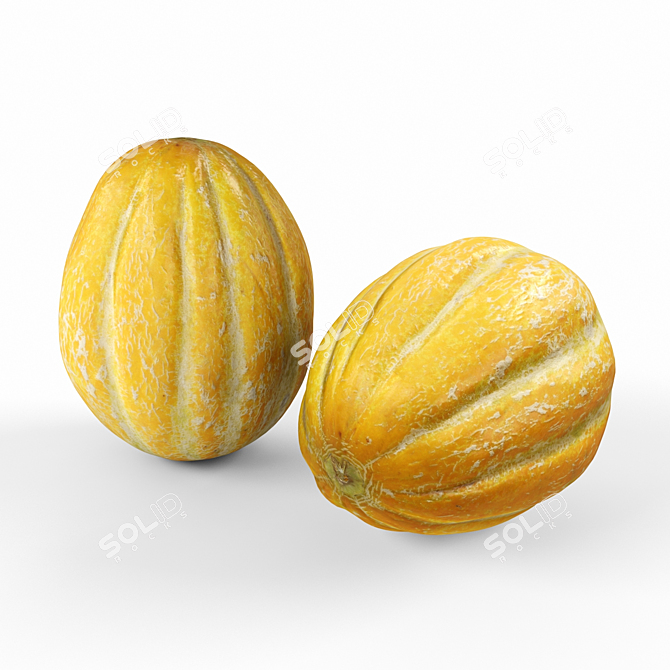 Organic Fresh Sweet Melon 3D model image 1